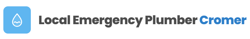 Local Emergency Plumber Cromer